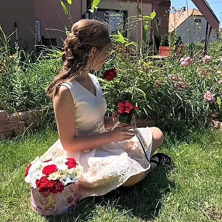 Bed and Breakfast Korona Panzio Blh nad Iplom